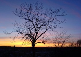 Vintersolståndet. Den naturliga nyårsdagen.